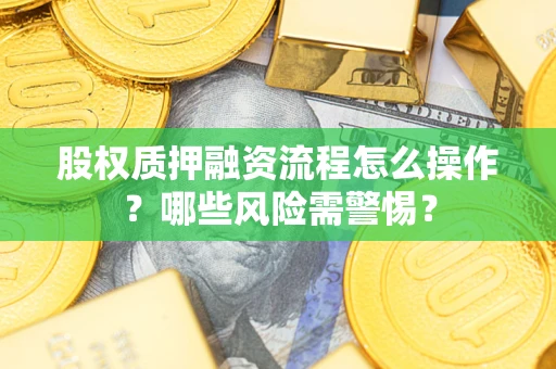 北京股权质押融资流程怎么操作？哪些风险需警惕？