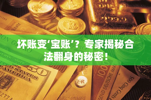 北京坏账变‘宝账’？专家揭秘合法翻身的秘密！
