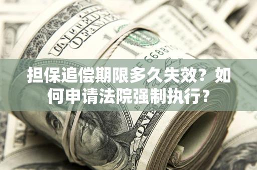 北京担保追偿期限多久失效？如何申请法院强制执行？